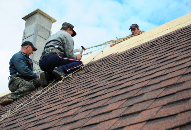 Best Metal Roofing Contractor  in Bull Mountain, OR